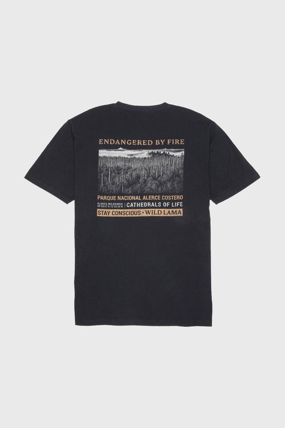 Polera Rolan Orgánica Negra Hombre