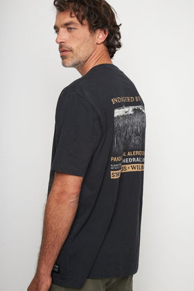 Polera Rolan Orgánica Negra Hombre