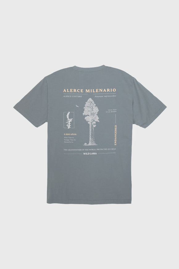 Polera Rolan Orgánica Verde Hombre