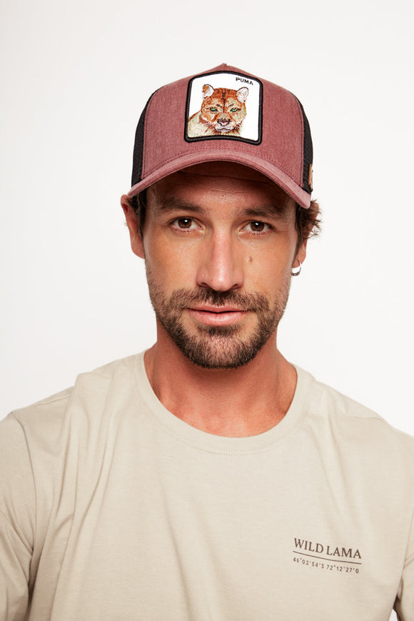 Jockey Puma Con Causa Burdeo