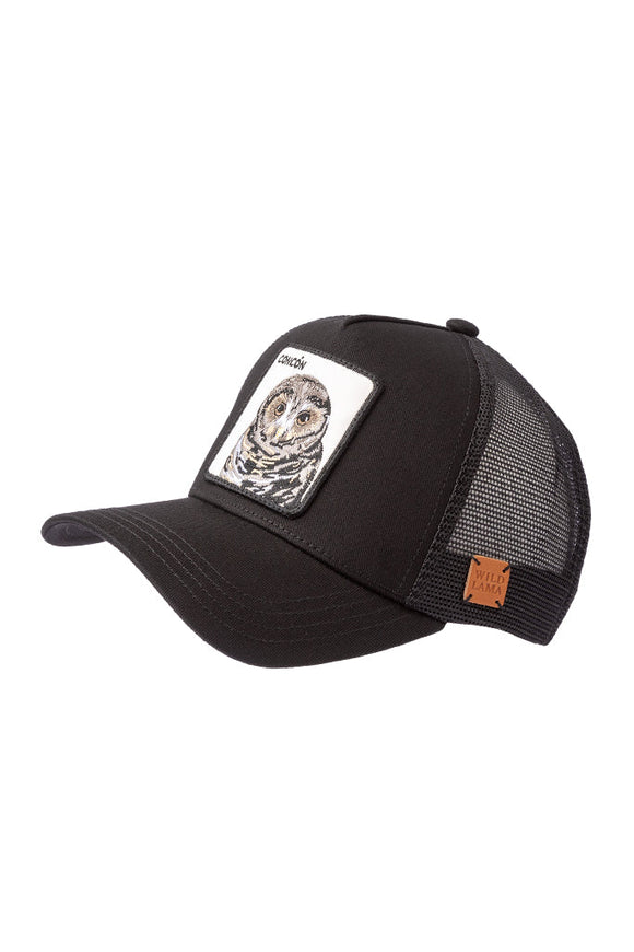 Jockey Concón Algodón Orgánico Negro | Wild Lama