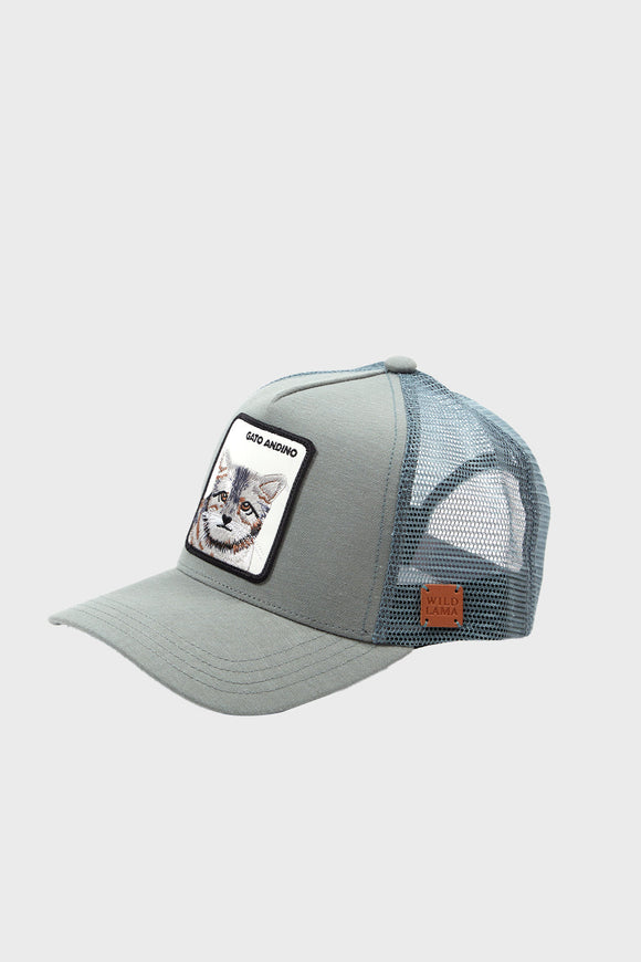 Jockey Gato Andino Lino Aqua