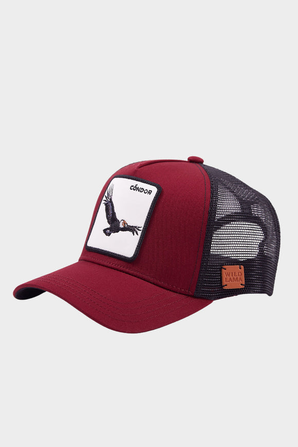 Jockey Cóndor Burdeo Kids