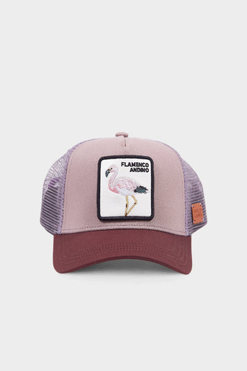 Jockey Flamenco Orgánico Morado Kids Wild Lama