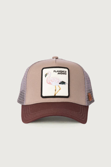 Jockey Flamenco Algodón Bordado Morado | Wild Lama