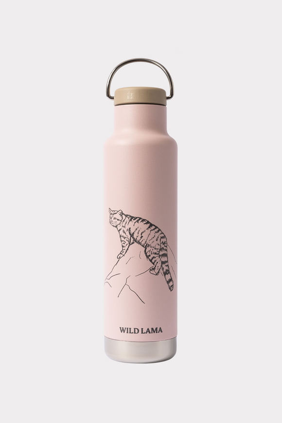 Botella Clásica Insulada Gato Andino x Klean Kanteen