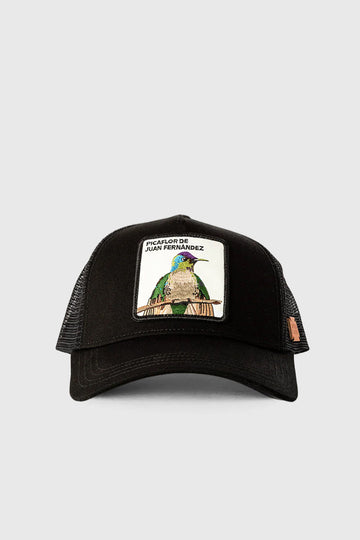 Jockey Picaflor de Juan Fernandez Algodón Orgánico Negro | Wild Lama