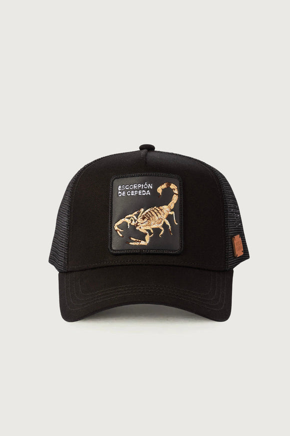 Jockey Escorpión Algodón Organico Negro