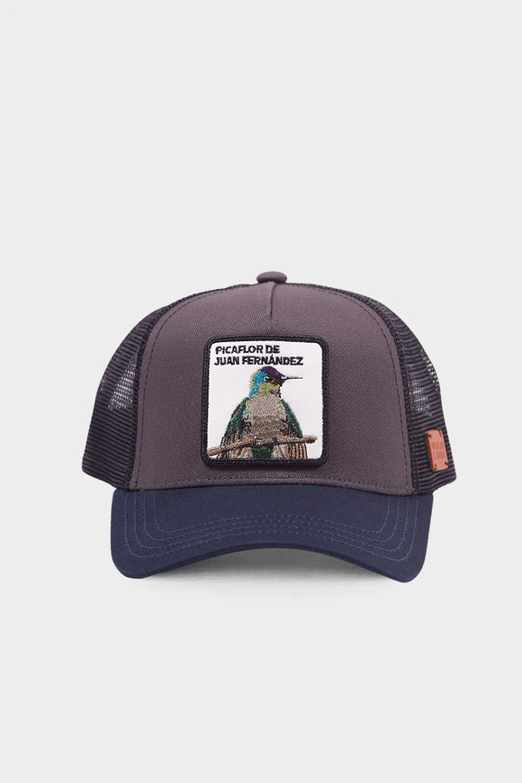 Jockey Picaflor Algodón Orgánico Gris Kids