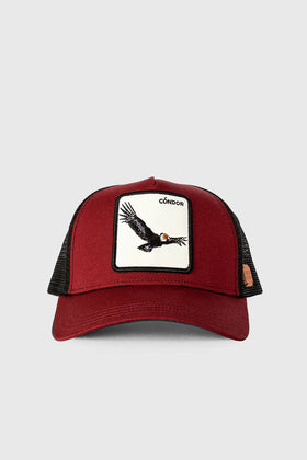 Jockey Cóndor Algodón Orgánico Burgundy