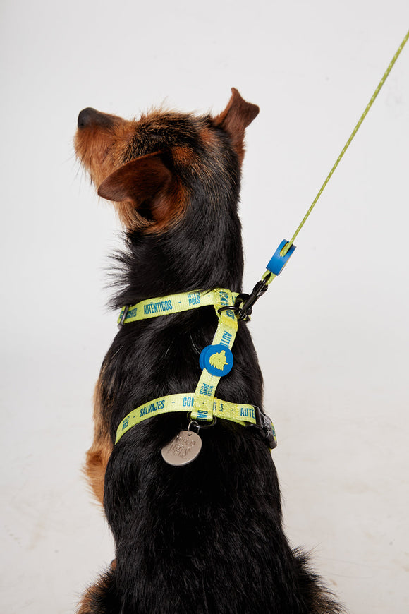 Arnés Kala Reciclado Verde Talla S