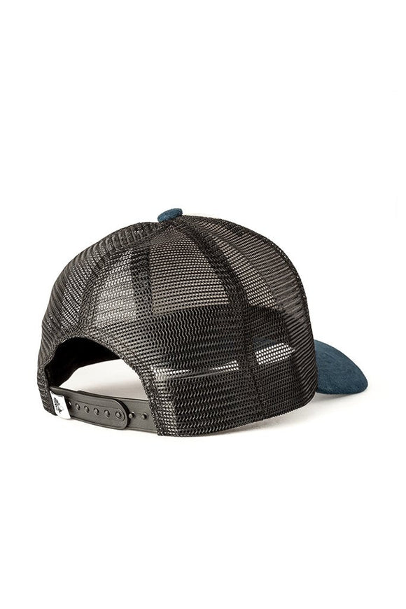 Jockey Pingüino de Humboldt Cotelé Petróleo