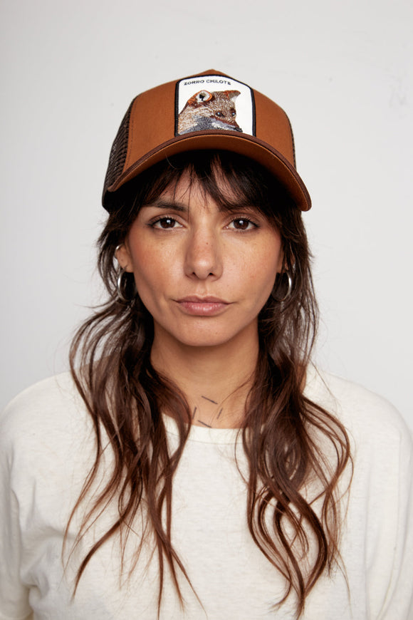 Jockey Zorro Chilote Algodón Orgánico Café