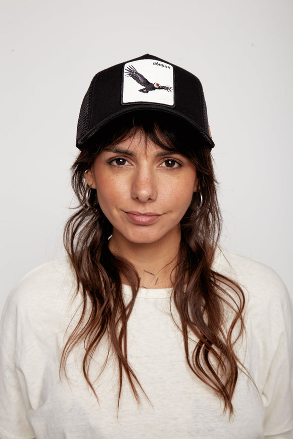 Jockey Cóndor Suede Negro