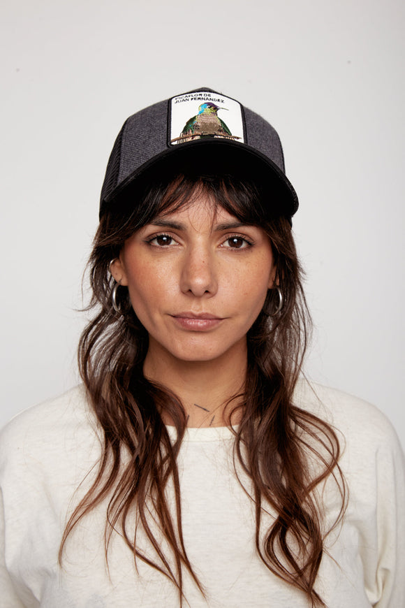 Jockey Picaflor de Juan Fernandez Wool Gris Oscuro