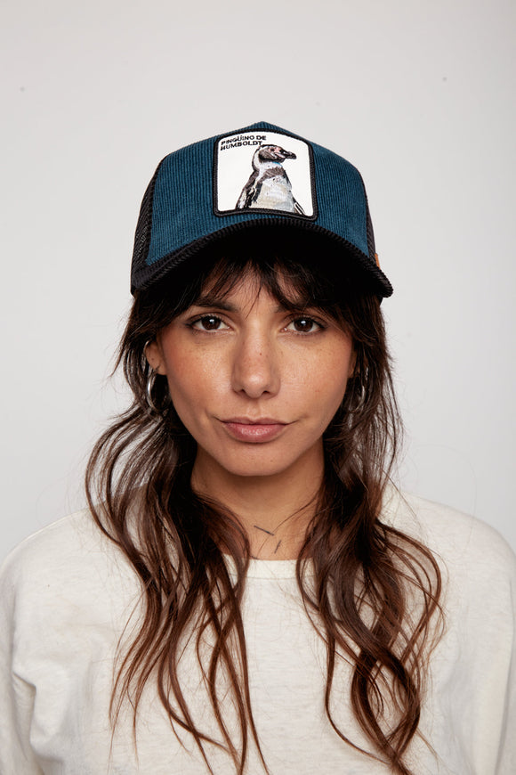 Jockey Pingüino de Humboldt Cotelé Petróleo