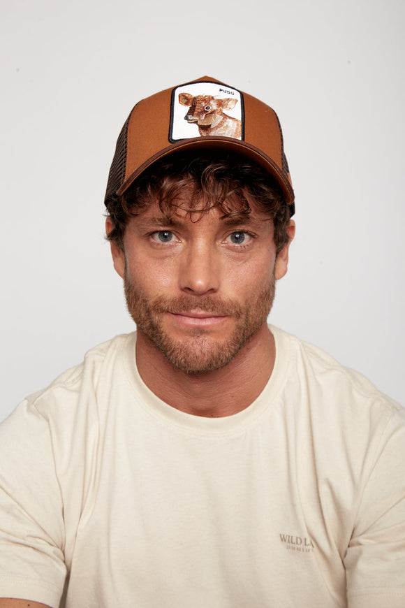 Jockey Pudú Orgánico Café