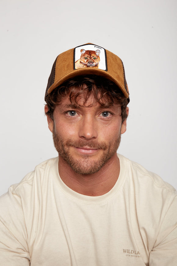 Jockey Puma Suede Café