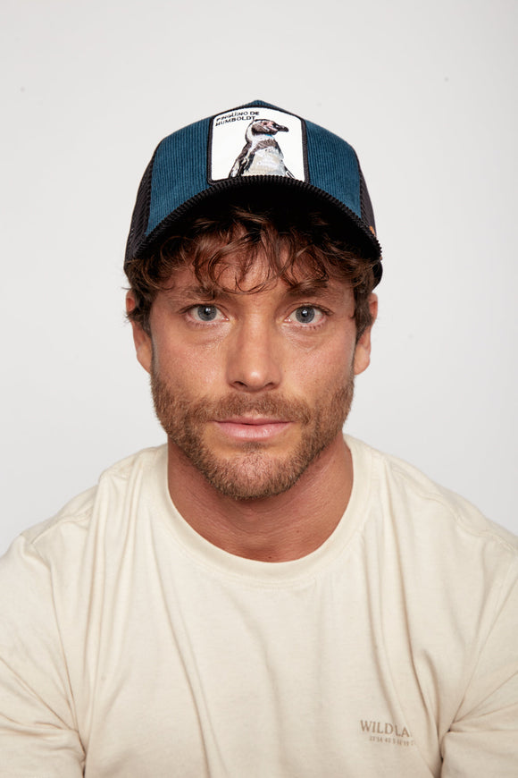 Jockey Pingüino de Humboldt Cotelé Petróleo